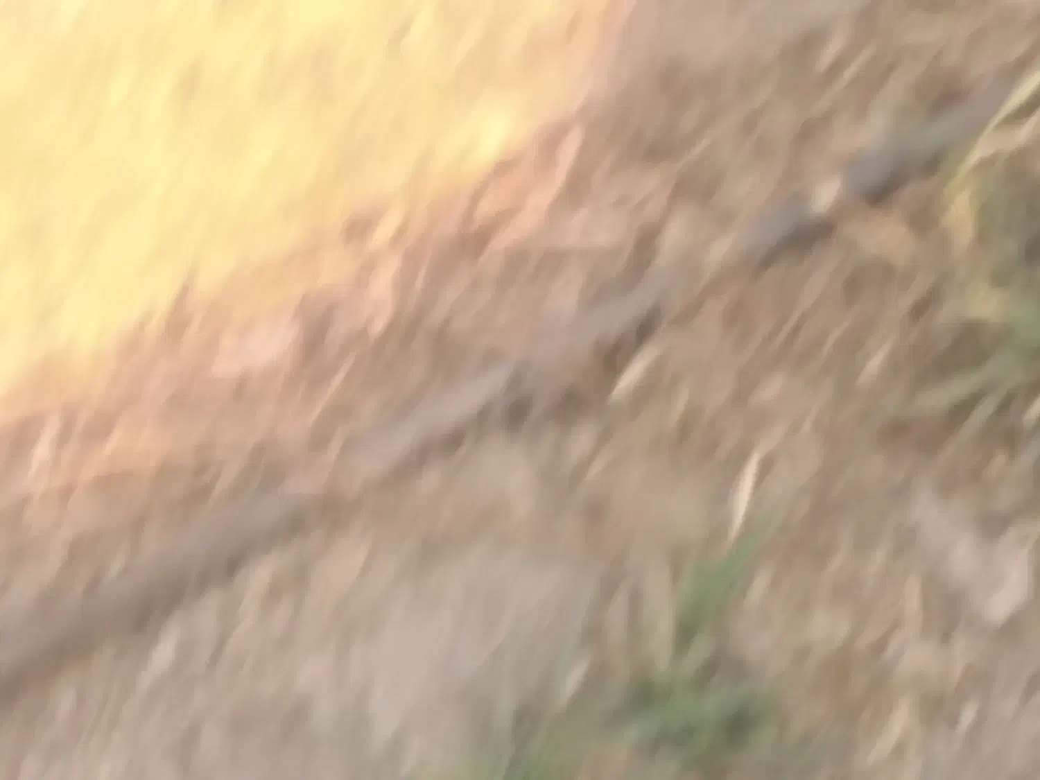 خانه فروشی  گلباف 18قصب سندتک برگ|فروش خانه و ویلا|گلباف, |دیوار