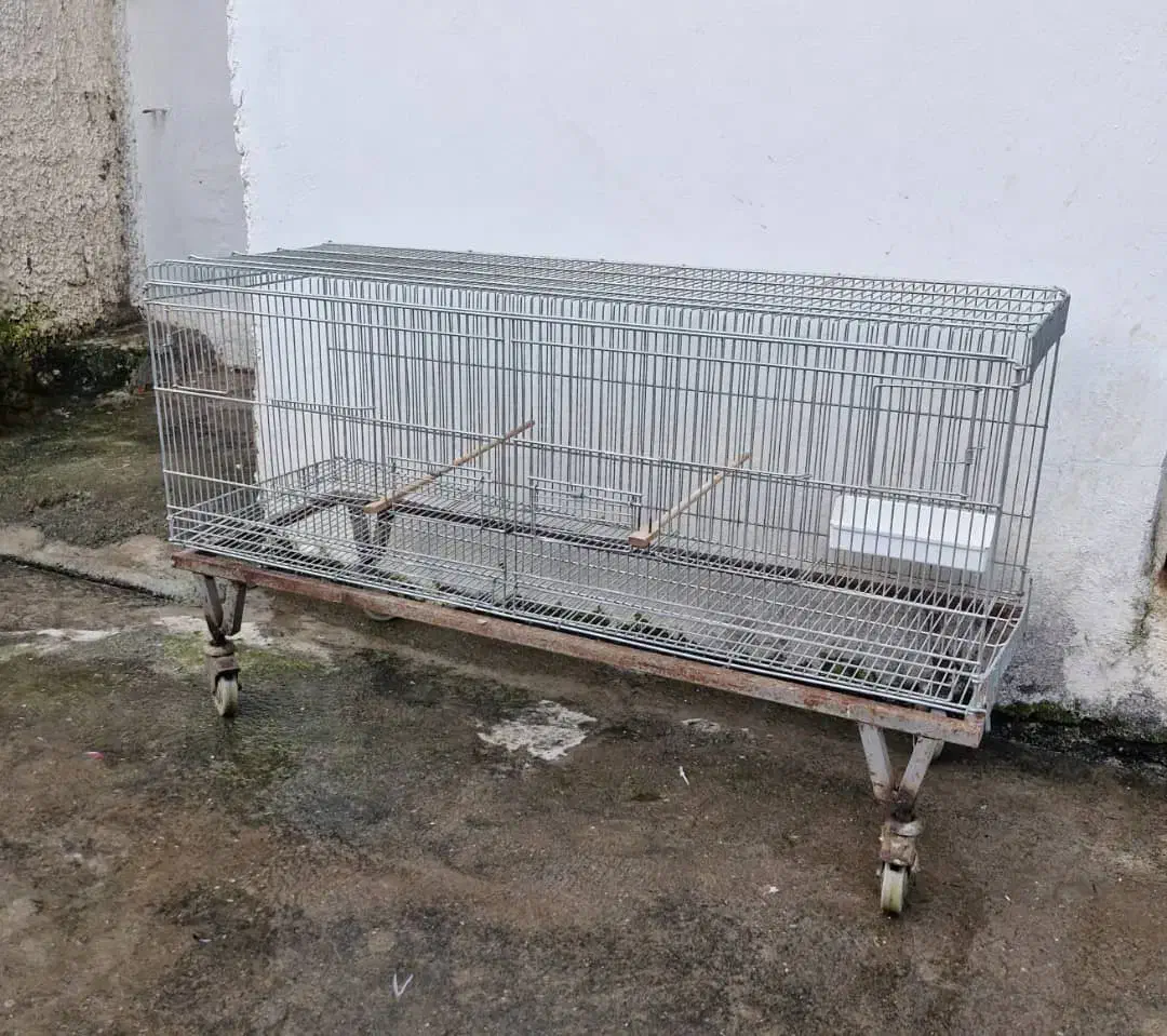 قفس قناری|لوازم جانبی حیوانات|عباسآباد, |دیوار