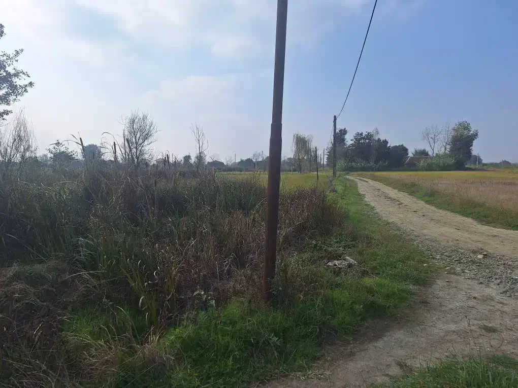 زمین 500متر مسکونی دار|فروش زمین و ملک کلنگی|رشت, سلیمانداراب|دیوار