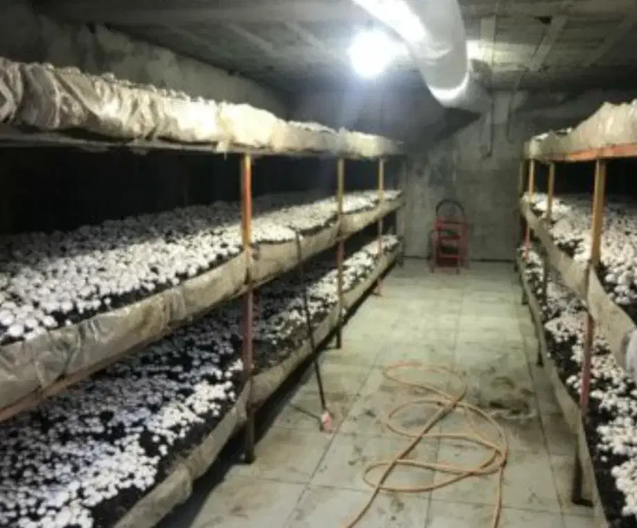 نیازمند همکار خانم|استخدام صنعتی، فنی، مهندسی|کرمانشاه, |دیوار