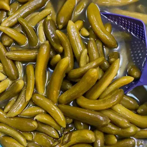 خیارشور دبه حلب|خوردنی و آشامیدنی|قم, حاج زینل|دیوار