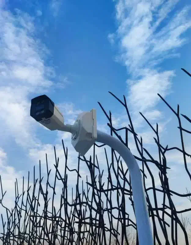 فروش/نصب/تعمیر تخصصی دوربین مداربسته AHD و ip شبکه|دوربین مداربسته|سیستان, |دیوار