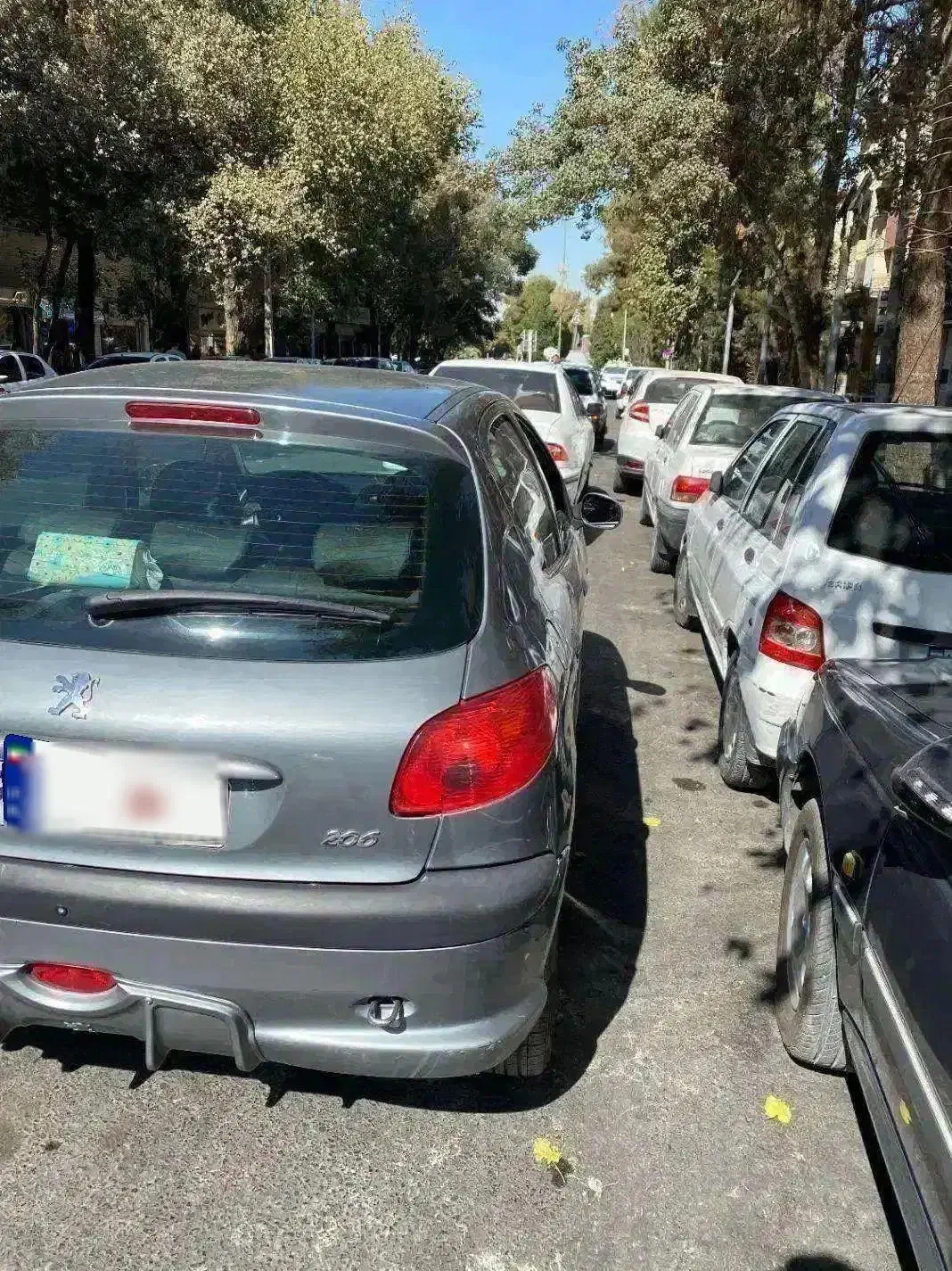 شاسی سالم وتک‌برگ سند فرانسوی با سیستم حرفه ای|خودرو سواری و وانت|اصفهان, مسجد مصلی|دیوار