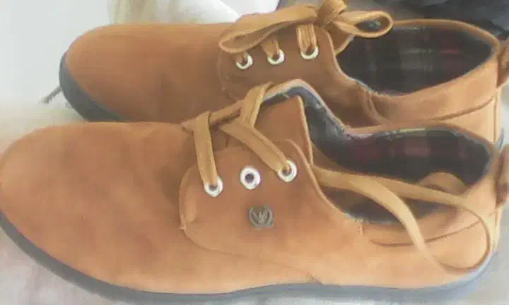 کفش نو|کیف، کفش، کمربند|اصفهان, درب کوشک|دیوار