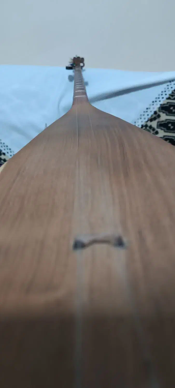 دوتار خوش رنگ وصدا|سازهای سنتی|شیروان (خراسان), |دیوار