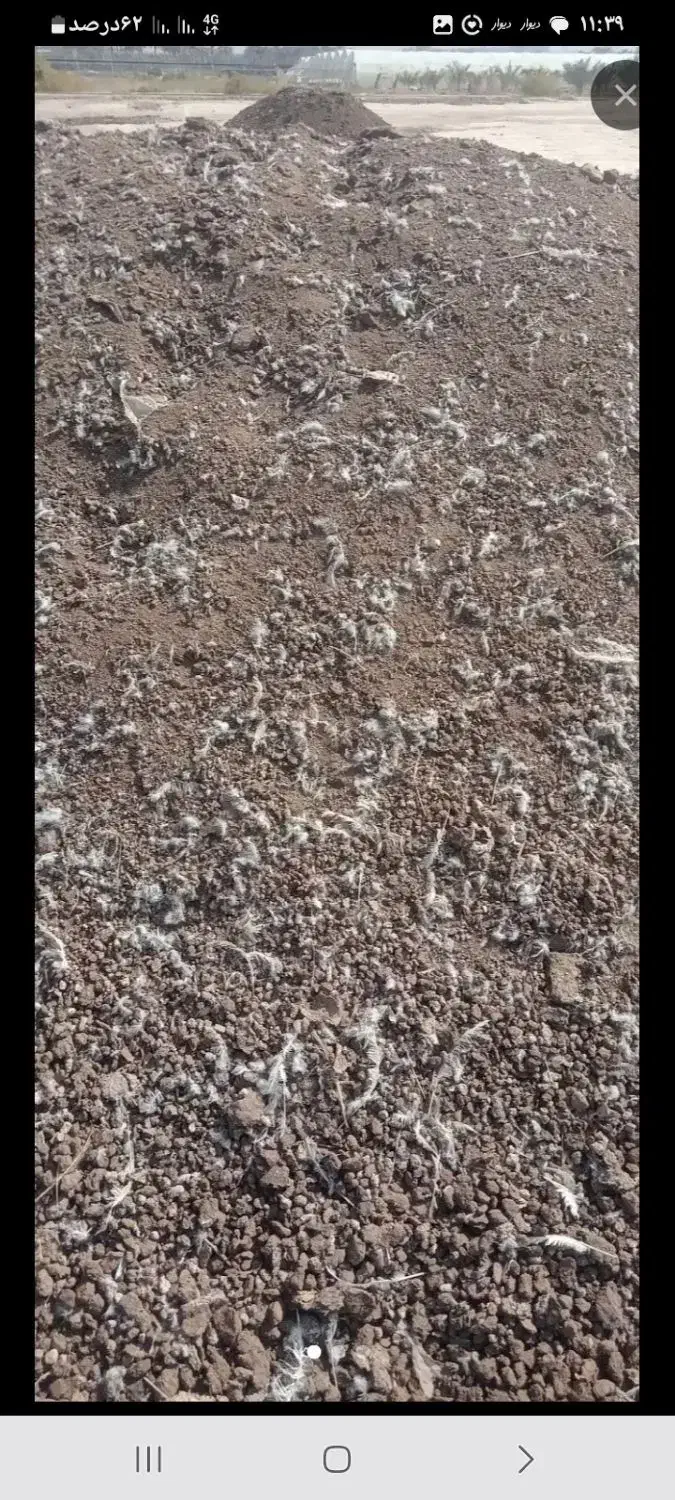 فروش کود مرغ|لوازم جانبی حیوانات|کهنوج, |دیوار