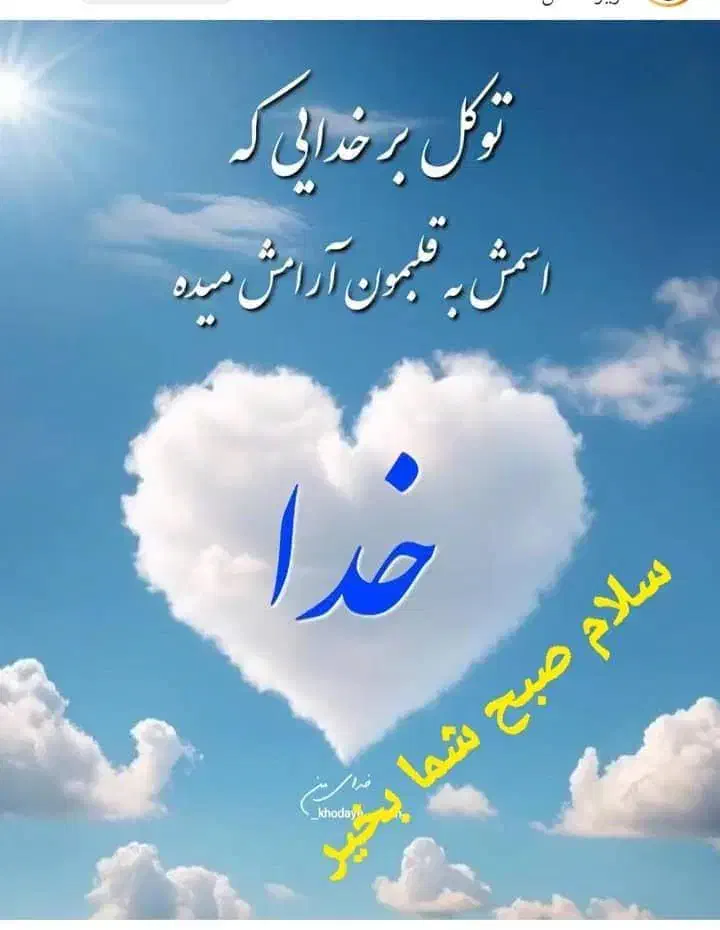 سرمایه جهت سرمایه گذاری|فعالیت داوطلبانه|ابهر, |دیوار