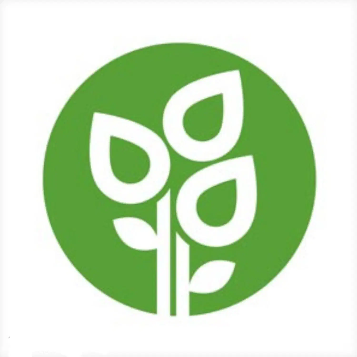 گل و گیاه|گل و گیاه طبیعی|شاهین دژ, |دیوار