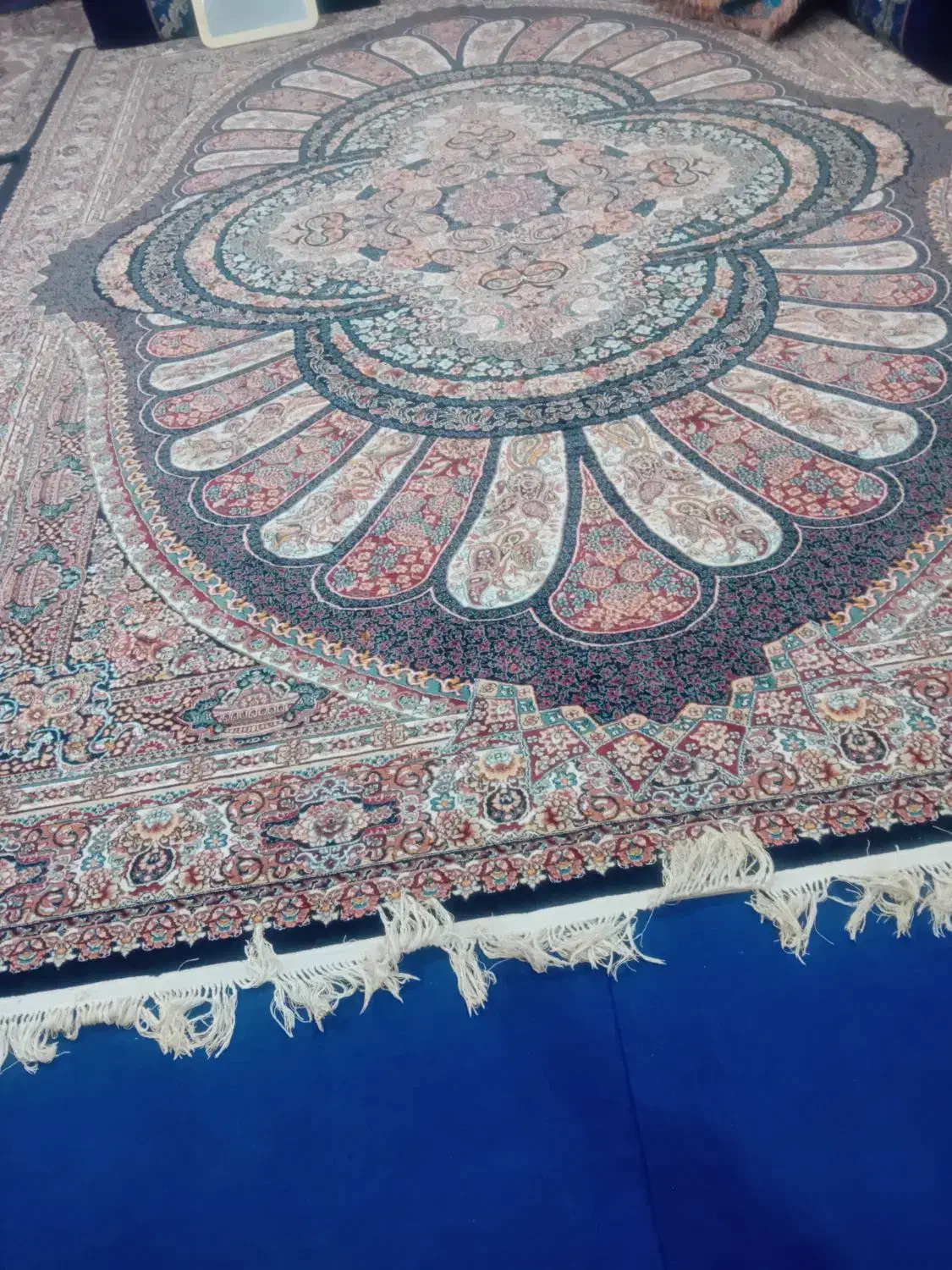 فرش 12متری|فرش|گرگان, |دیوار