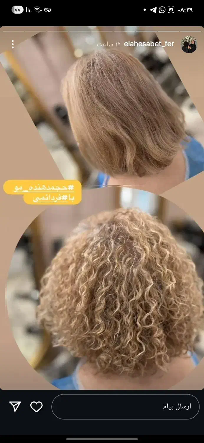 مدل مو فر دائم جهت تکمیل آلبوم|خدمات آرایشگری و زیبایی|شیراز, شهرک ولیعصر|دیوار