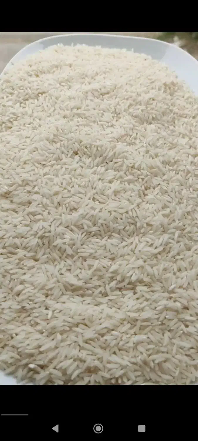 برنج خوشپخت|خوردنی و آشامیدنی|قم, آزادگان|دیوار