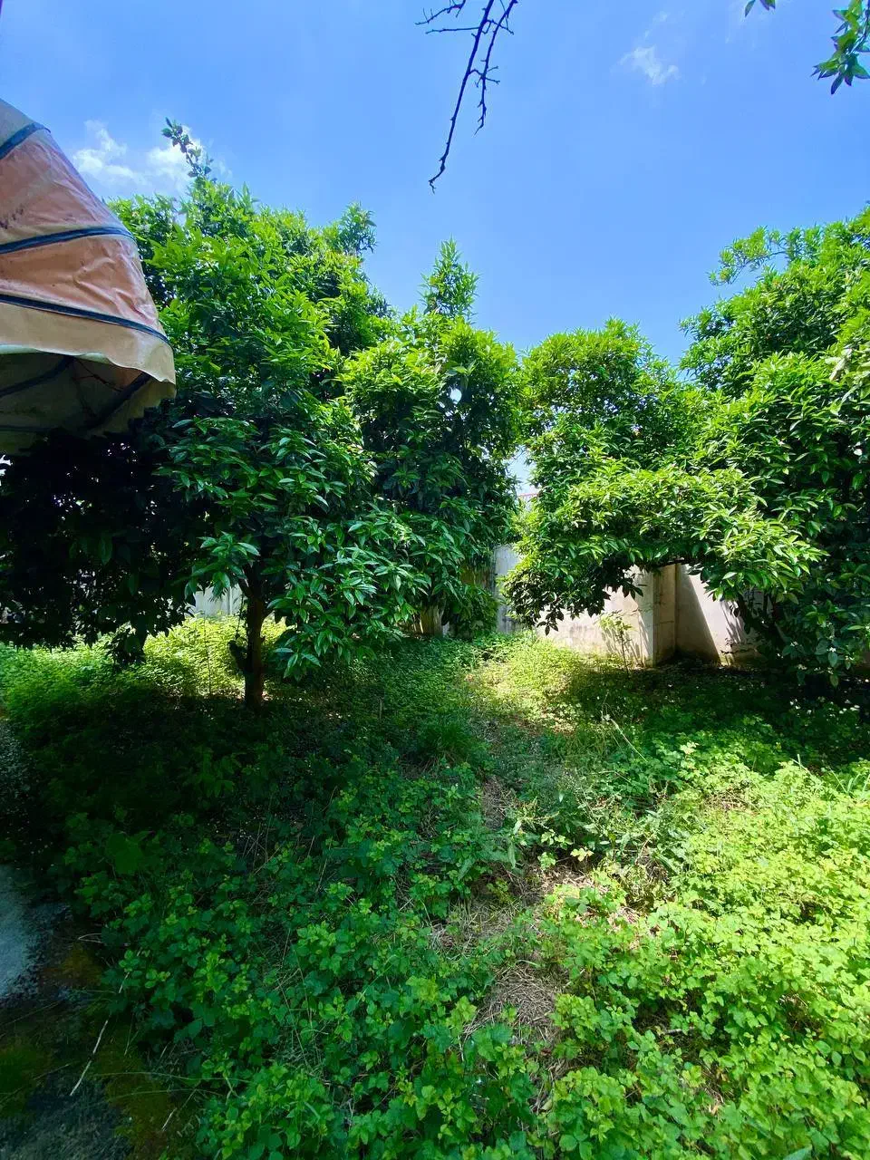 ویلاباغ 900فول مبله بالادست سند تکبرگ ششدانگ|فروش خانه و ویلا|تهران, نیروی دریایی|دیوار