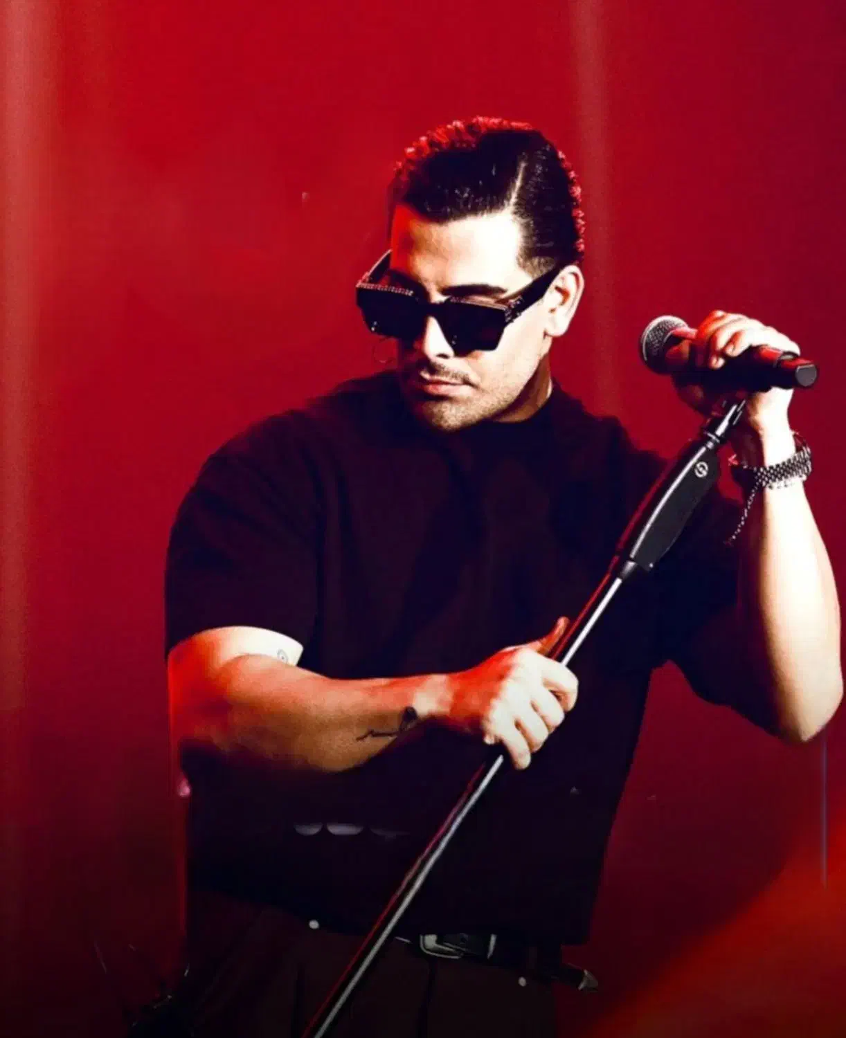 دو عدد بلیت(VIP)کنسرت مجید رضوی 27آذرماه سانس دوم|بلیت کنسرت|تهران, اقدسیه|دیوار