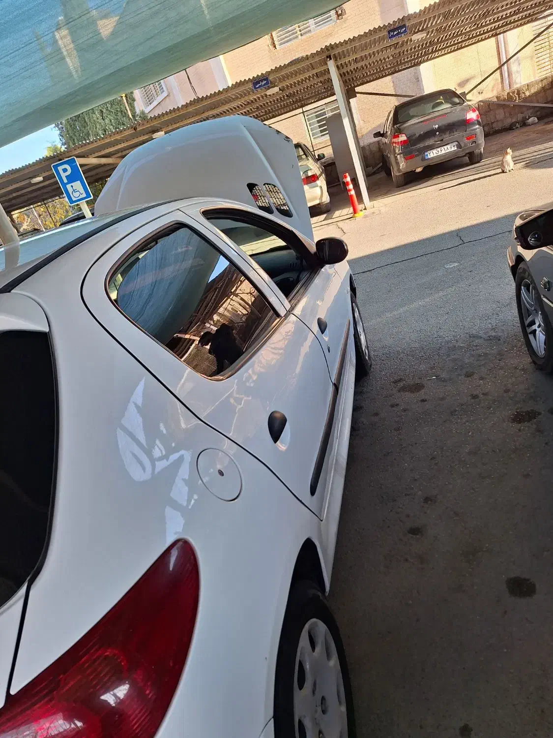 فروش پژو206 تیپ 2|خودرو سواری و وانت|شیراز, گلدشت معالیآباد|دیوار