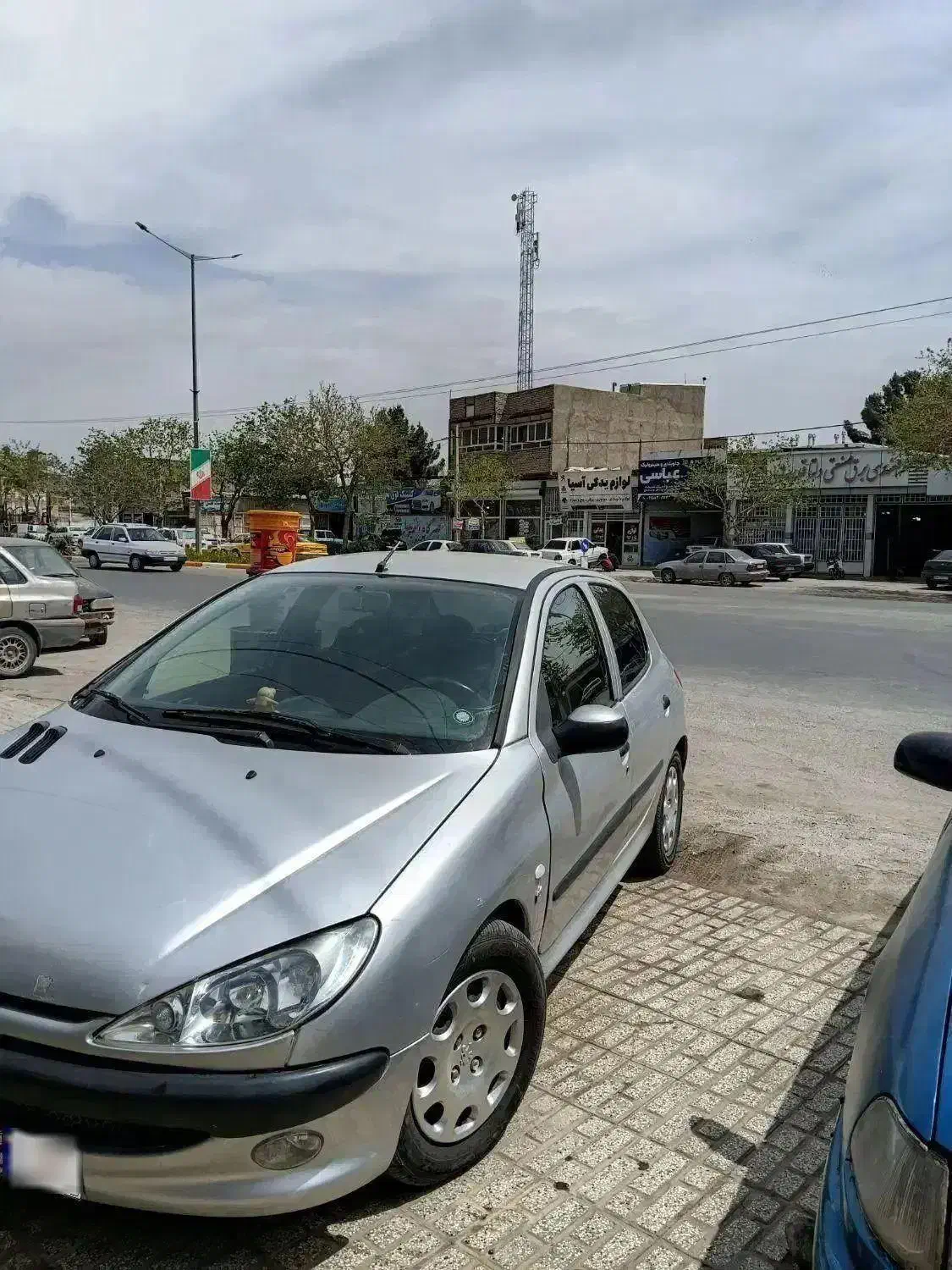 ۲۰۶|خودرو سواری و وانت|تربت‌حیدریه, بوستان باغ ملی|دیوار