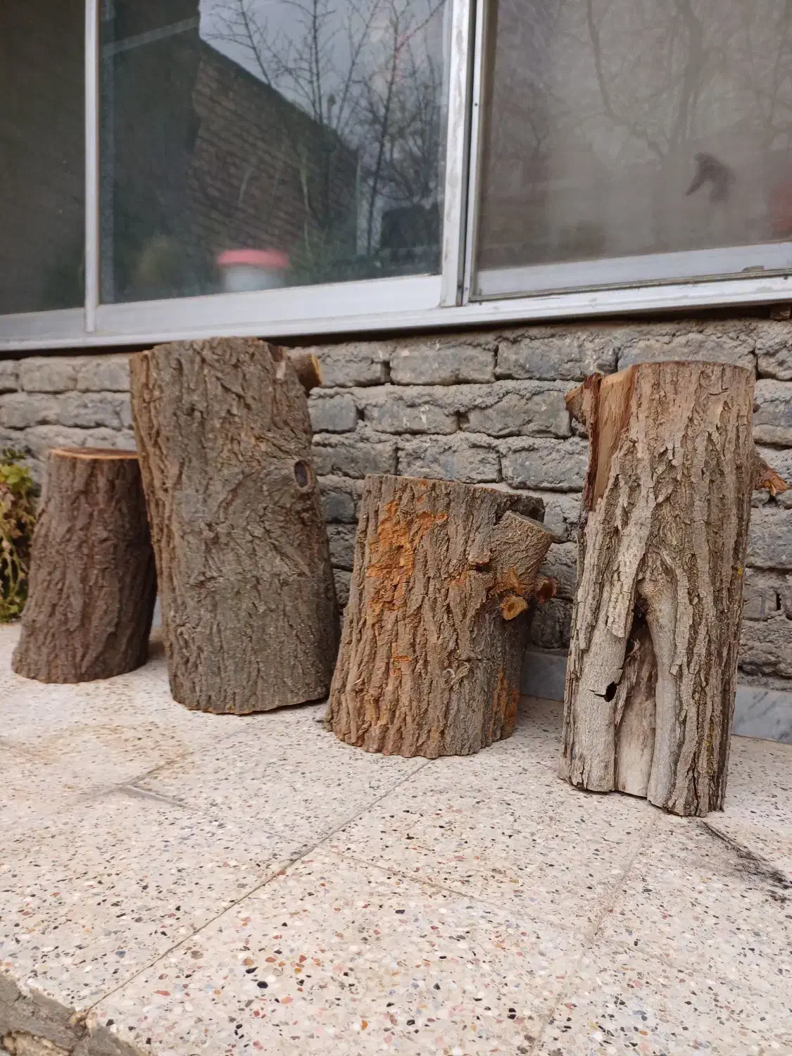 تنه درخت|صنایع دستی و سایر لوازم تزئینی|بجنورد, |دیوار