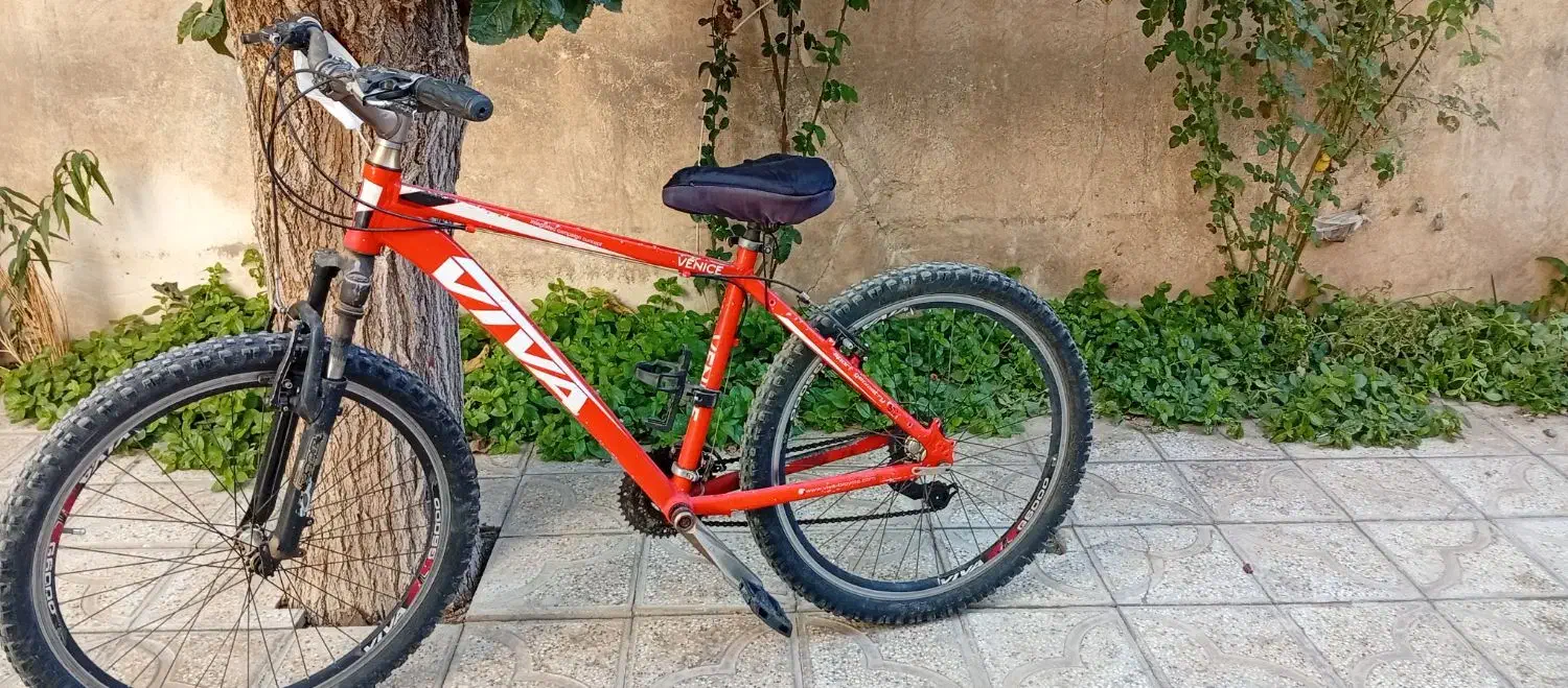 دوچرخه۲۶|دوچرخه، اسکیت، اسکوتر|تربتحیدریه, مسجد جامع|دیوار