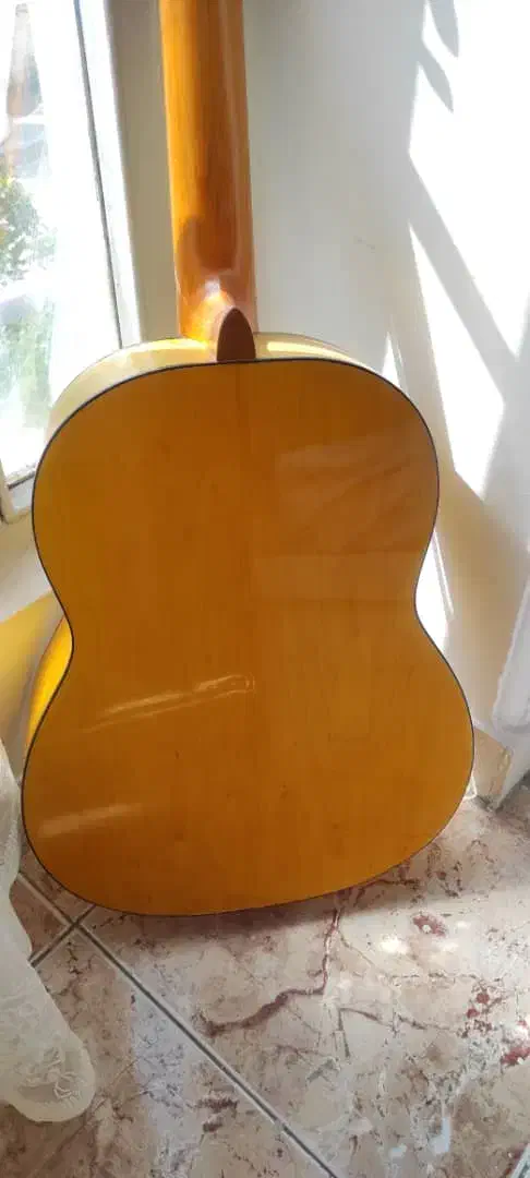 گیتار|گیتار، بیس، امپلیفایر|تهران, باشگاه نفت|دیوار