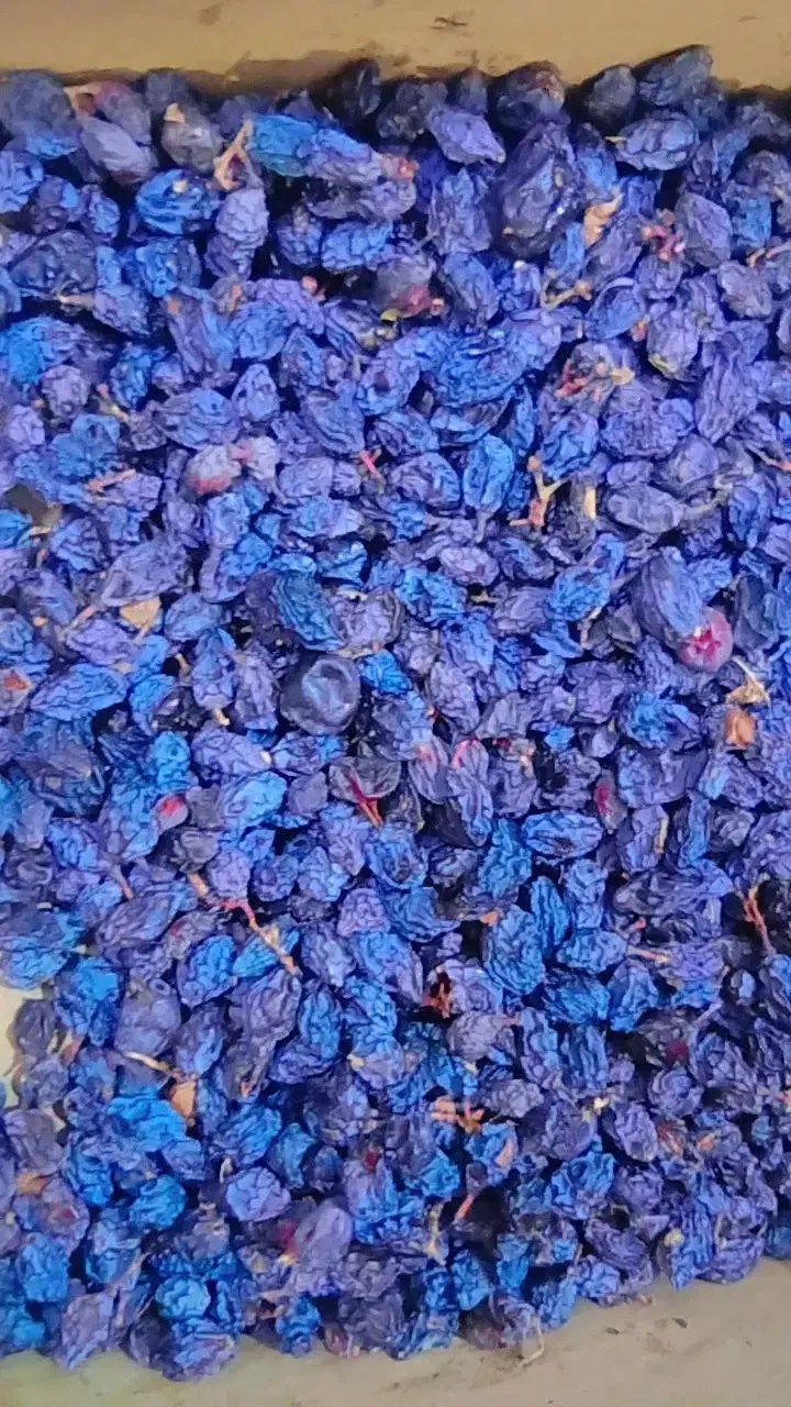 مویز کشمش آب گیری|خوردنی و آشامیدنی|رباطکریم, پیغمبر|دیوار