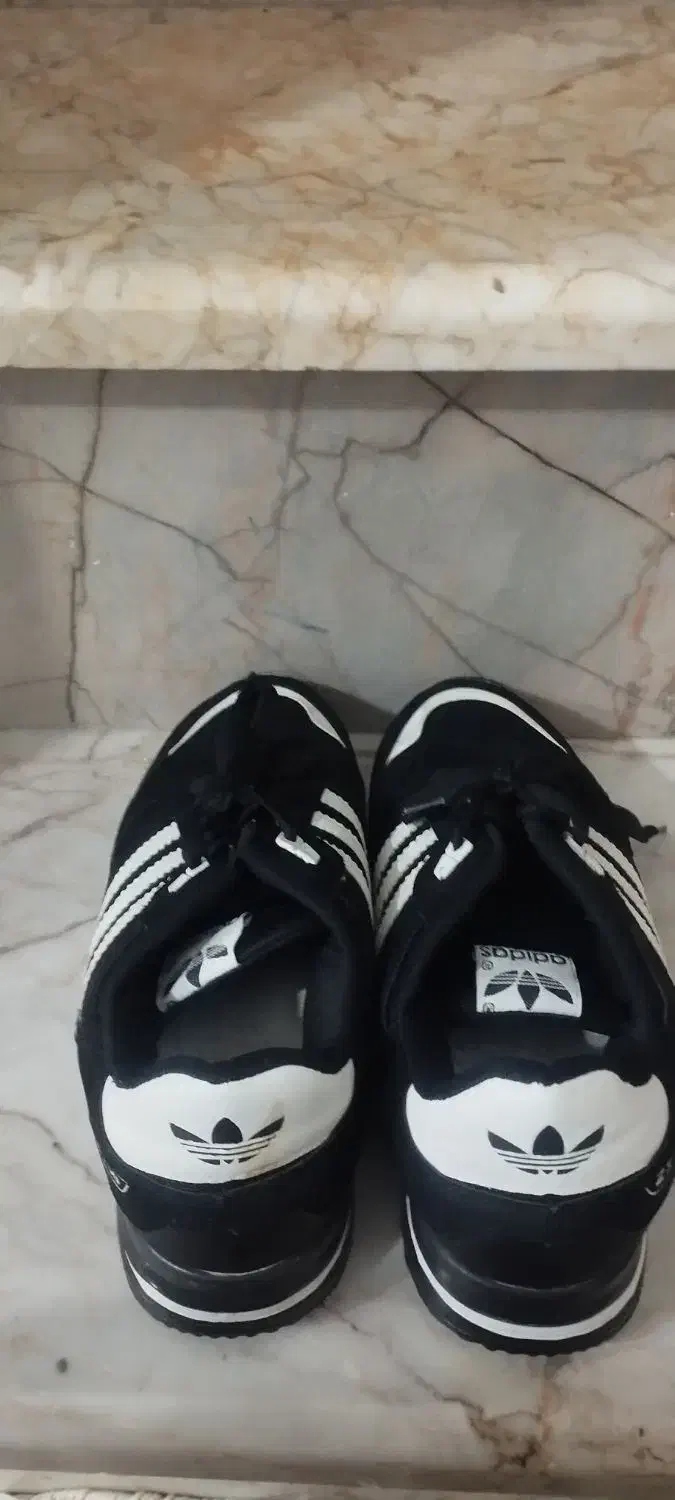 کتونی|کیف، کفش، کمربند|شیروان (خراسان), |دیوار