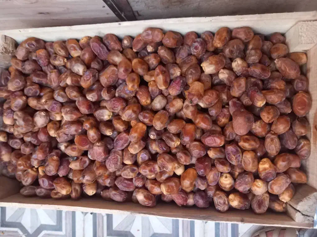 خرمای زاهدی|خوردنی و آشامیدنی|اصفهان, بابوکان جنوبی|دیوار