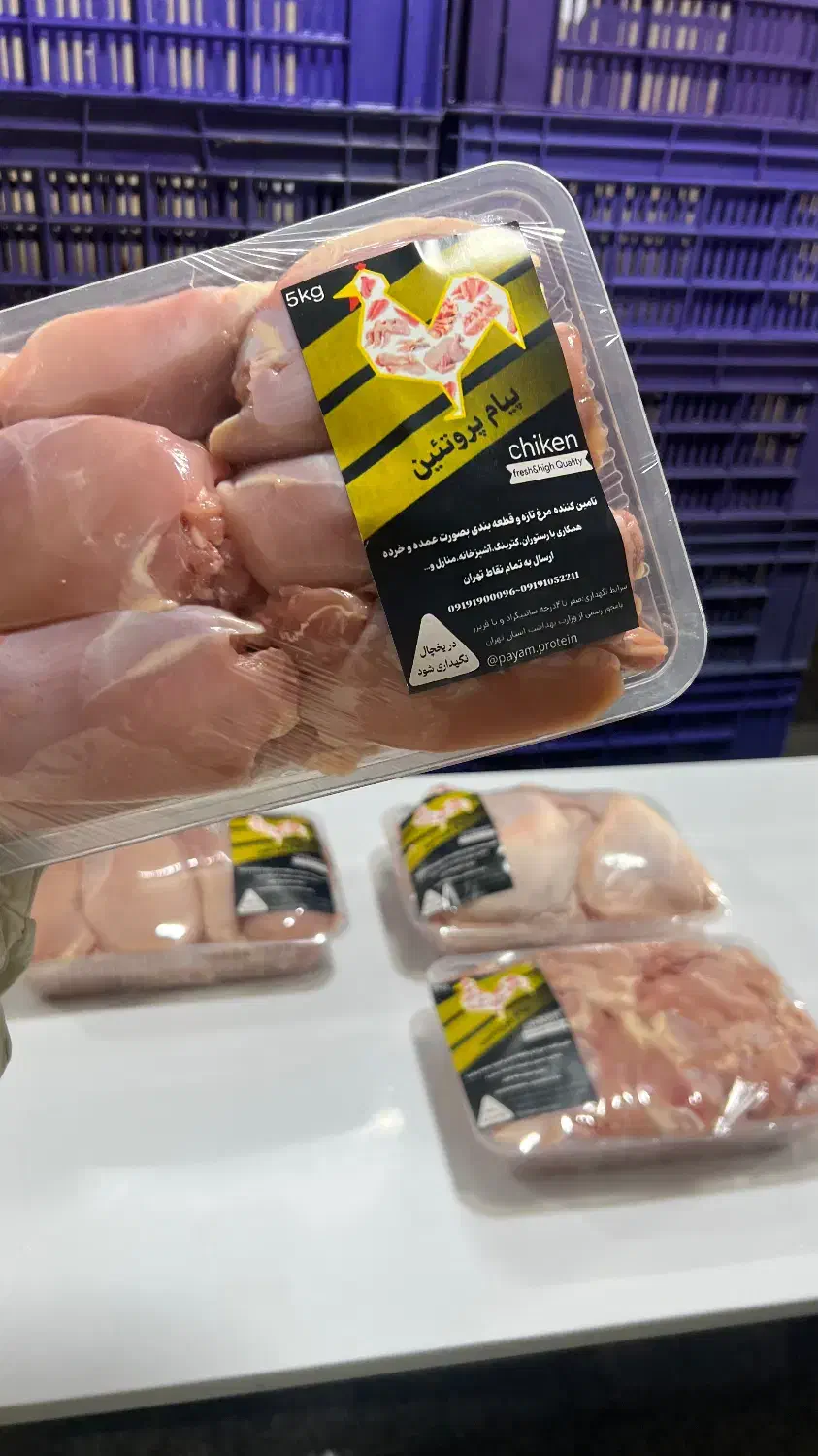 مرغ به قیمت عمده فروشی|خوردنی و آشامیدنی|تهران, حکیمیه|دیوار