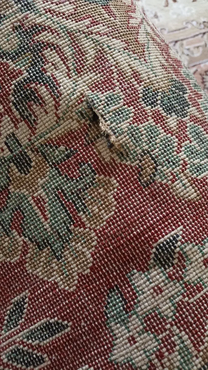 فرش ۹ متری|فرش|تبریز, |دیوار