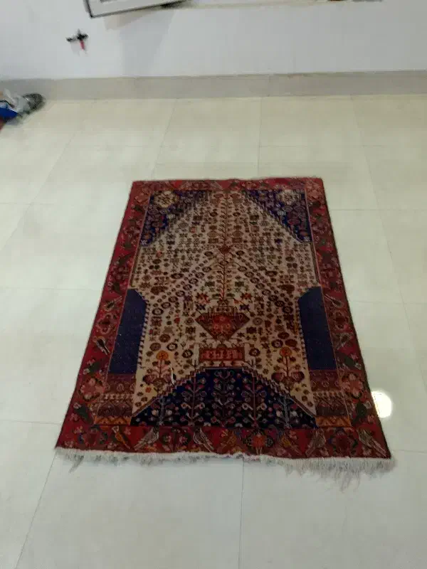 فرش قدیمی دستباف اصل|فرش|بندر دیر, |دیوار