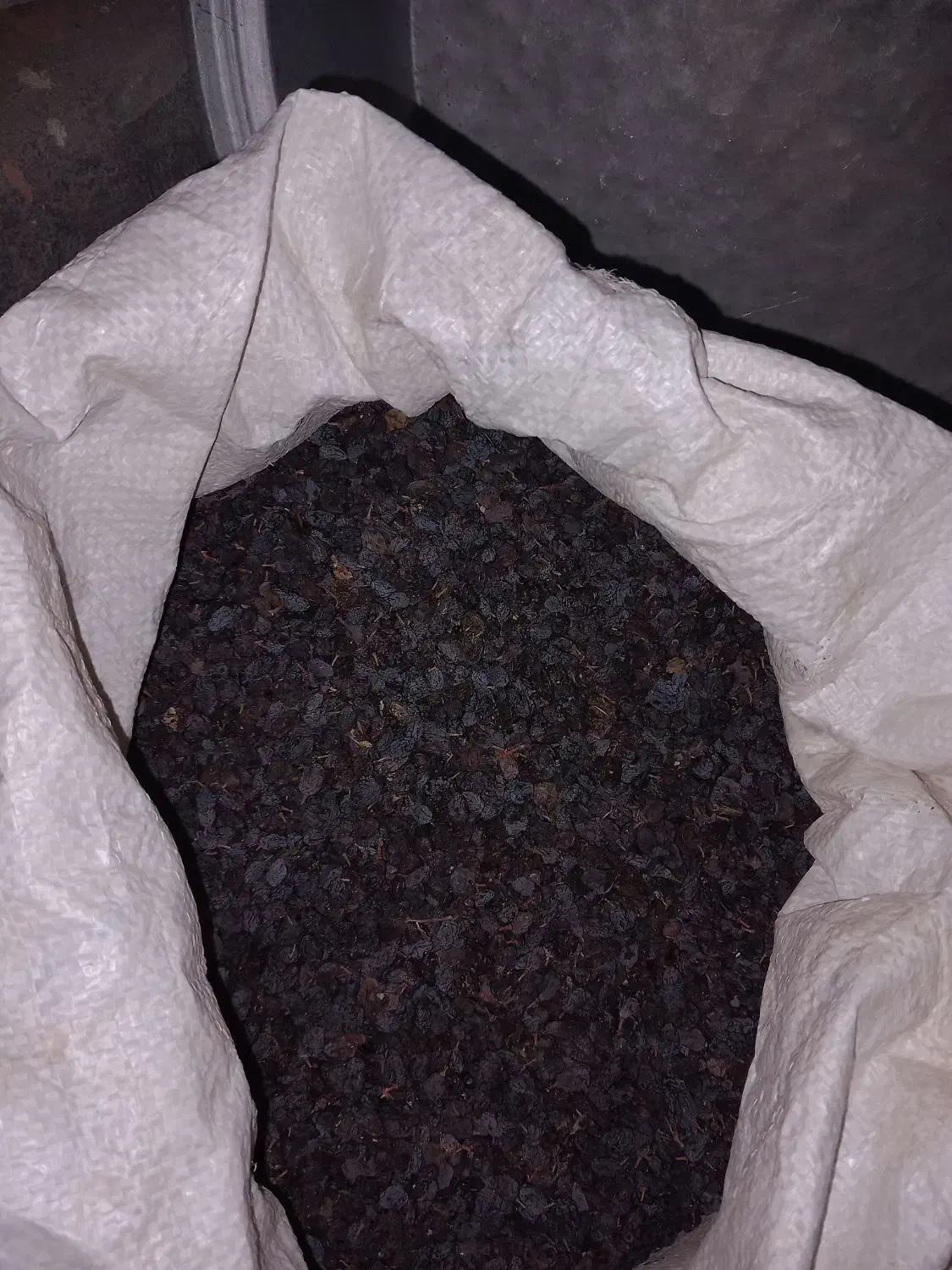 کشمش افتابی|خوردنی و آشامیدنی|بناب, |دیوار