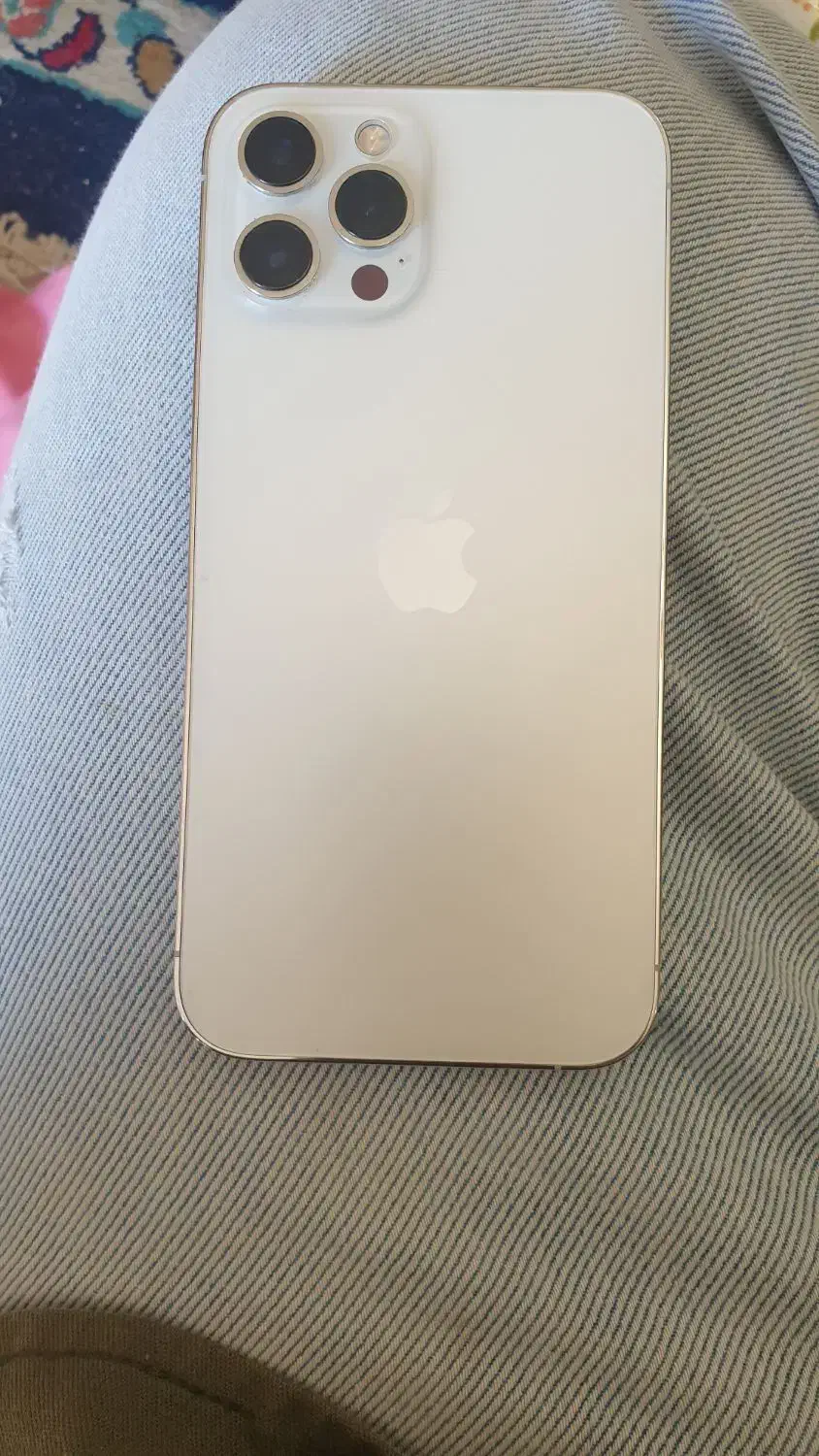 12 pro max|موبایل|شیراز, سجادیه|دیوار