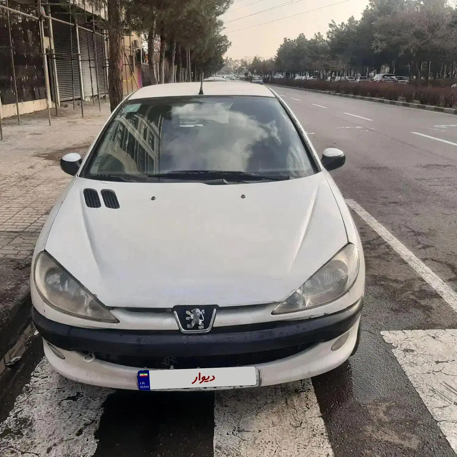 ۲۰۶|خودرو سواری و وانت|مشهد, استاد یوسفی (شهرک غرب)|دیوار