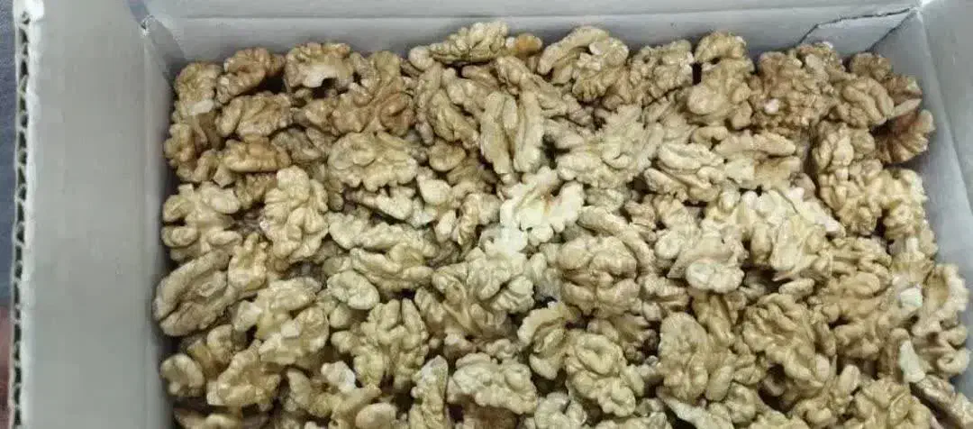 مغز گردو|خوردنی و آشامیدنی|الشتر, |دیوار