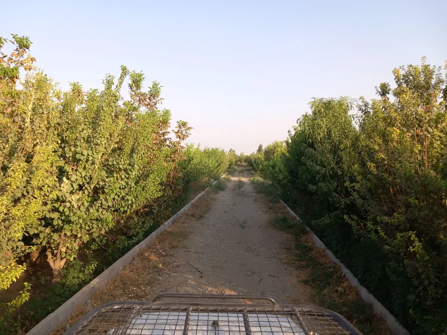 باغ|فروش دفتر صنعتی، کشاورزی، تجاری|اسلامشهر, بهرام آباد|دیوار