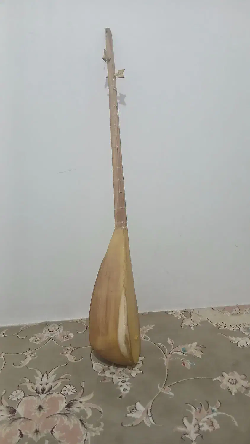 دوتار|سازهای سنتی|تایباد, |دیوار