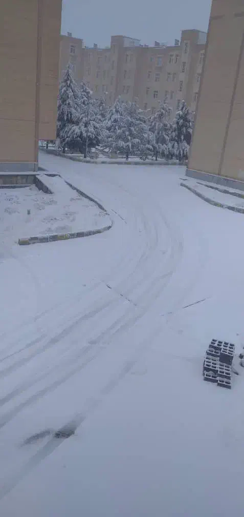 سرویس|خدمات حمل و نقل|یاسوج, |دیوار