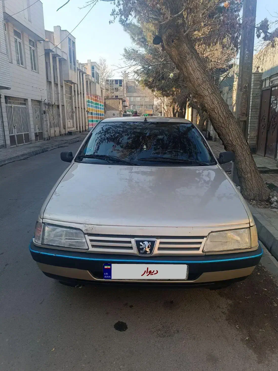 405 سالم|خودرو سواری و وانت|مشهد, شریف|دیوار