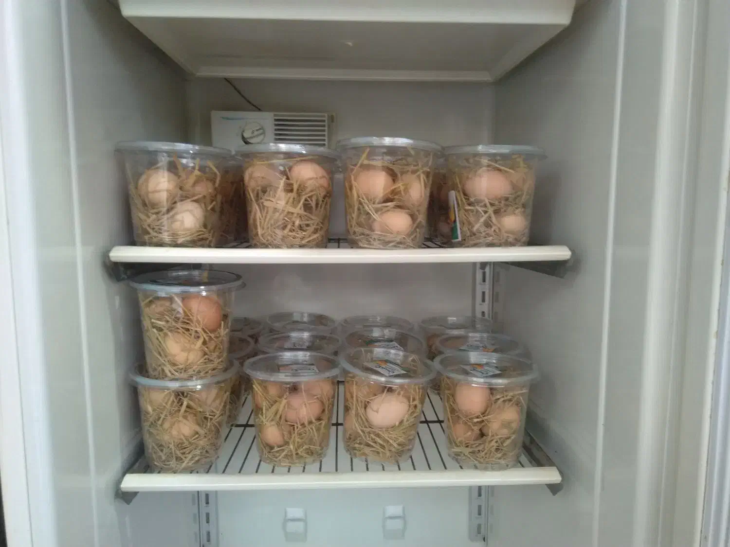 تخم مرغ گلپایگان|خوردنی و آشامیدنی|بهشهر, |دیوار