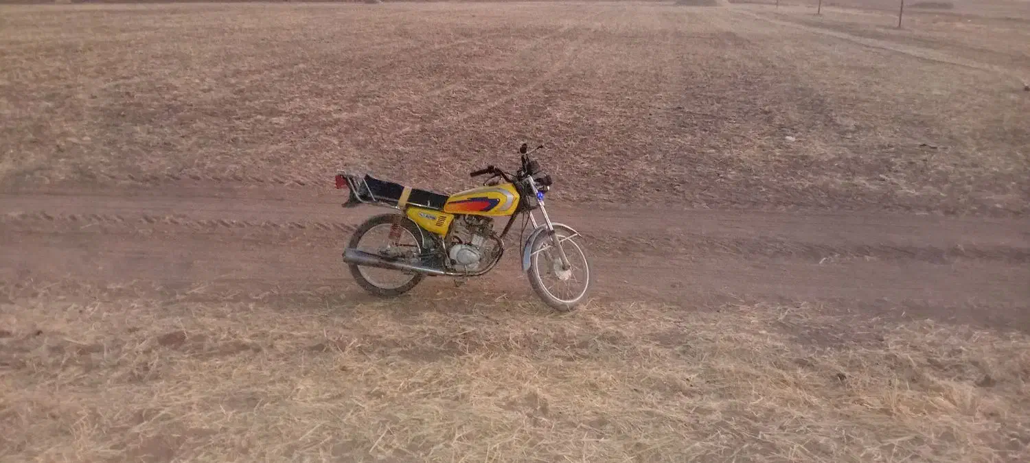 ...|سگ|دهگلان, |دیوار