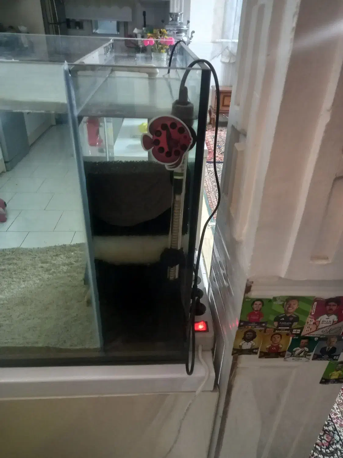 یک عدد آکواریم با سامپ بغل|ماهی|ورامین, ورامین|دیوار