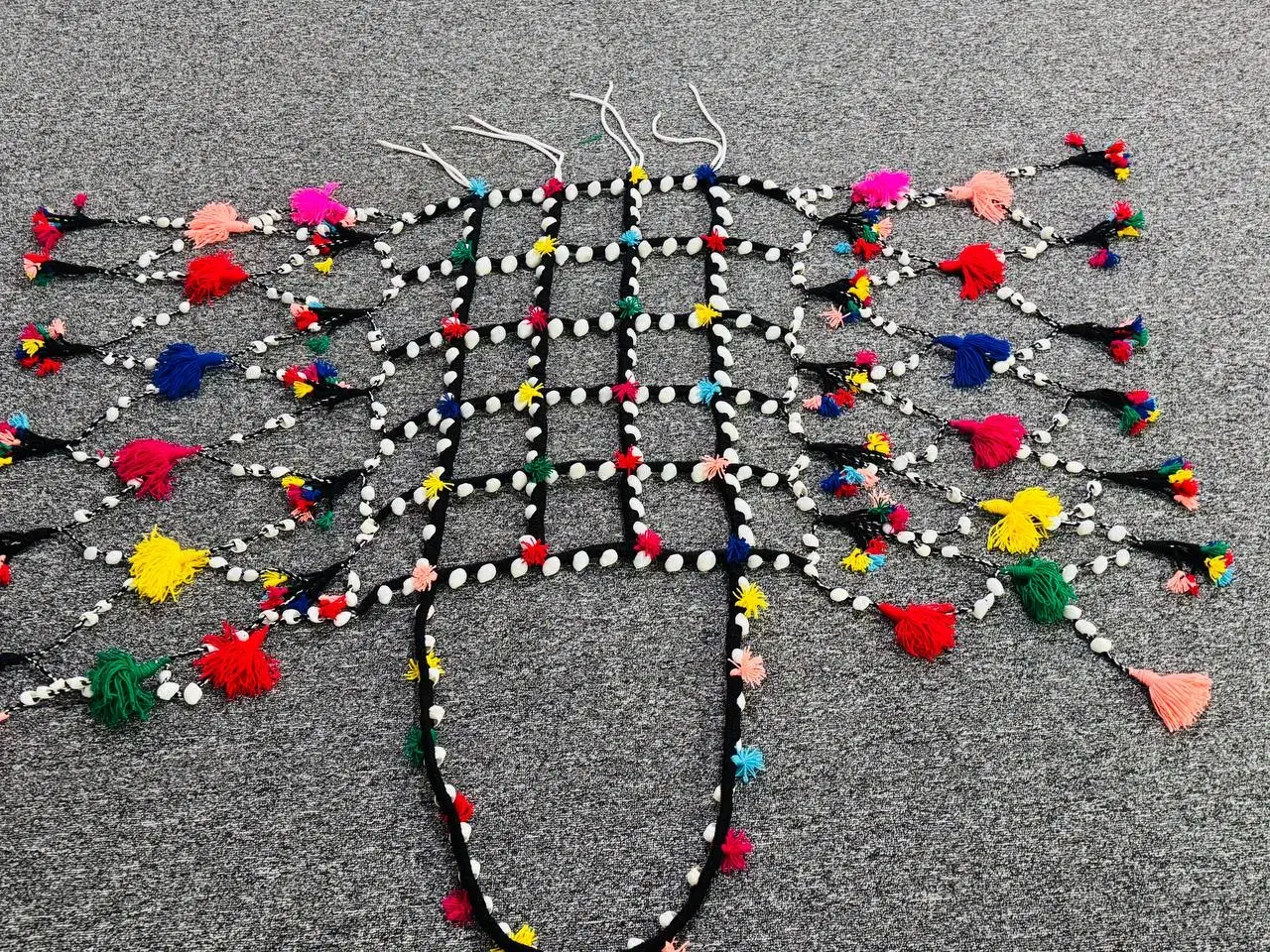 شتر|لوازم جانبی حیوانات|قشم, |دیوار