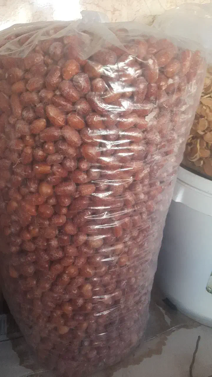 ماست شیر محصولات محلی روستا های گلزار قریت العرب|خوردنی و آشامیدنی|کرمان, |دیوار