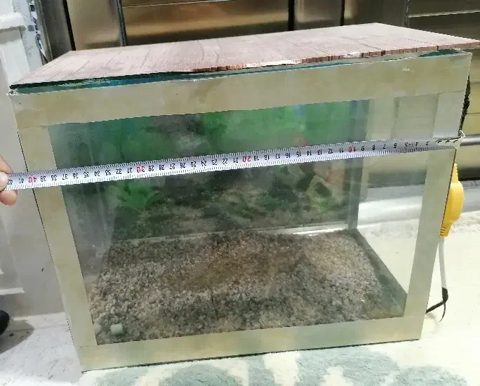 آکواریوم|ماهی|میاندوآب, |دیوار