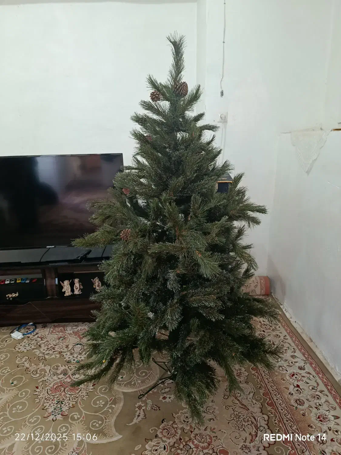 درخت کاج تزیینی  ( کریسمس)|گل مصنوعی|بن, |دیوار