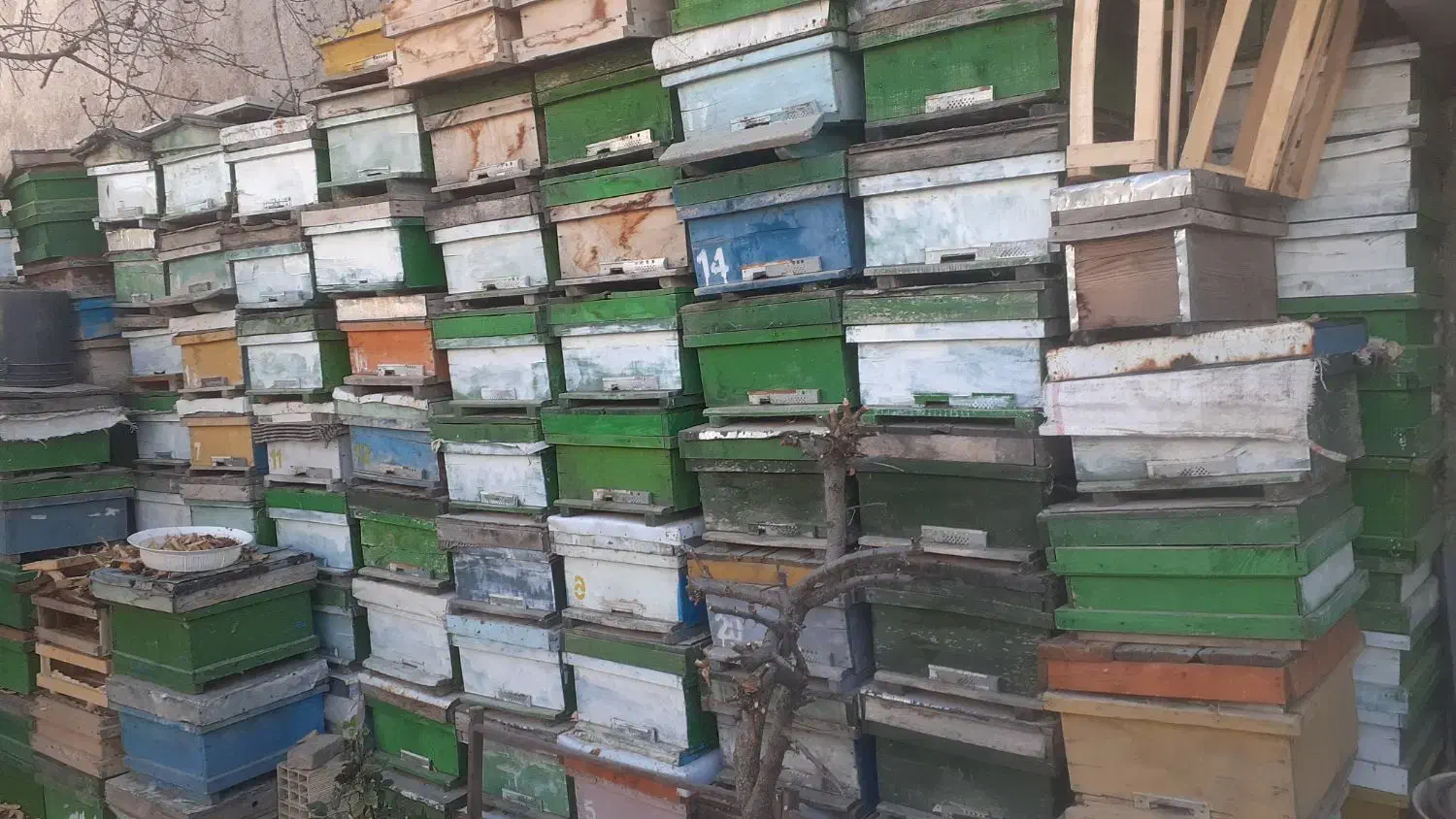 کندوی زنبور عسل مربع و آمریکایی|حیوانات مزرعه|نیر (اردبیل), |دیوار