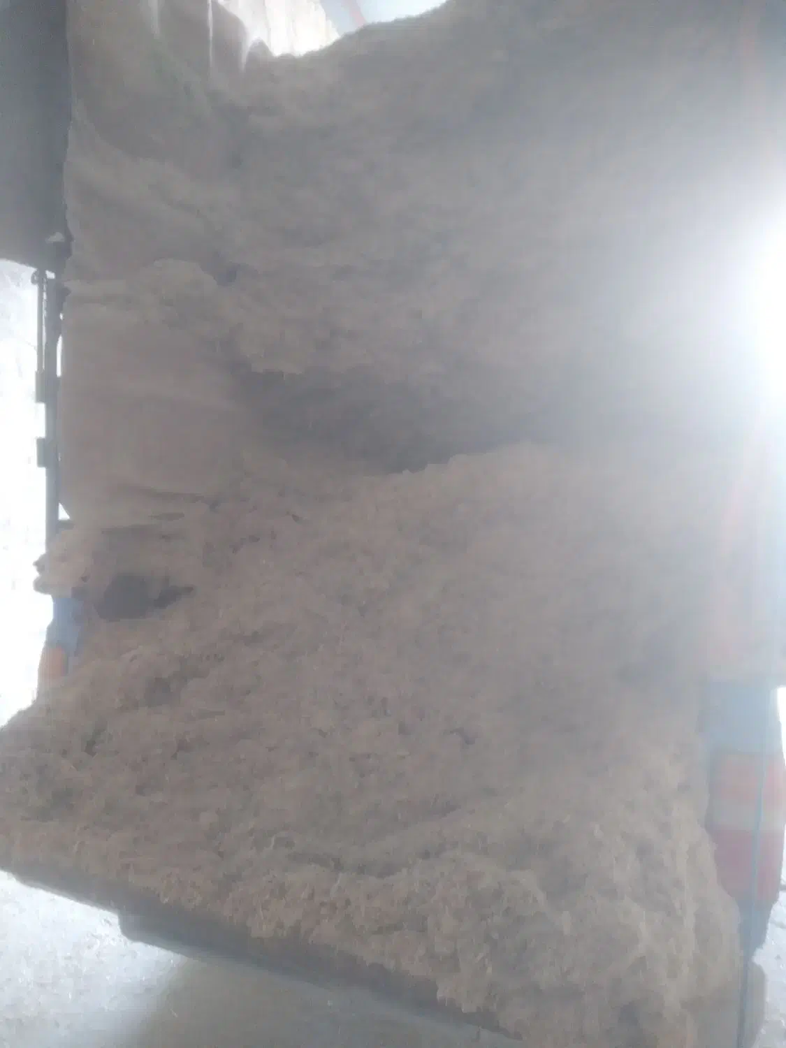 کاه طوفالی نیشکرامیدیه|لوازم جانبی حیوانات|امیدیه, |دیوار