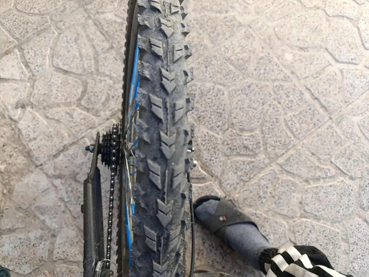 دوچرخه|دوچرخه، اسکیت، اسکوتر|نورآباد, |دیوار