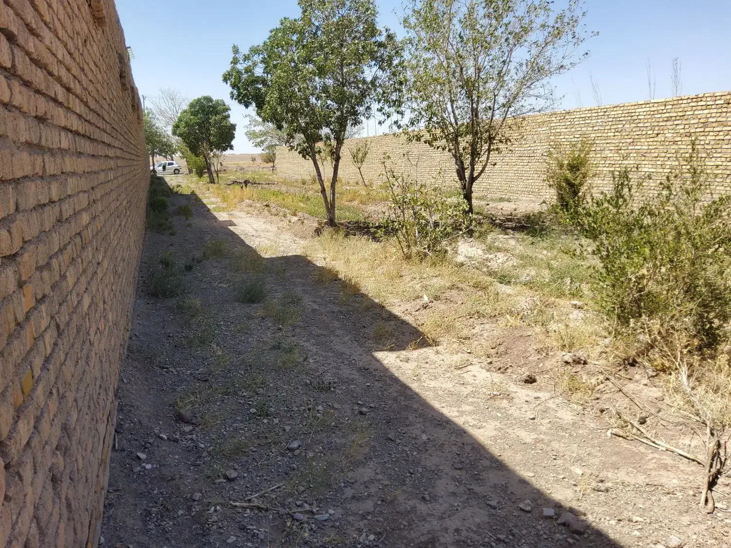 زمین خانه باغ|فروش زمین و ملک کلنگی|تربت‌حیدریه, بالا ولایت|دیوار