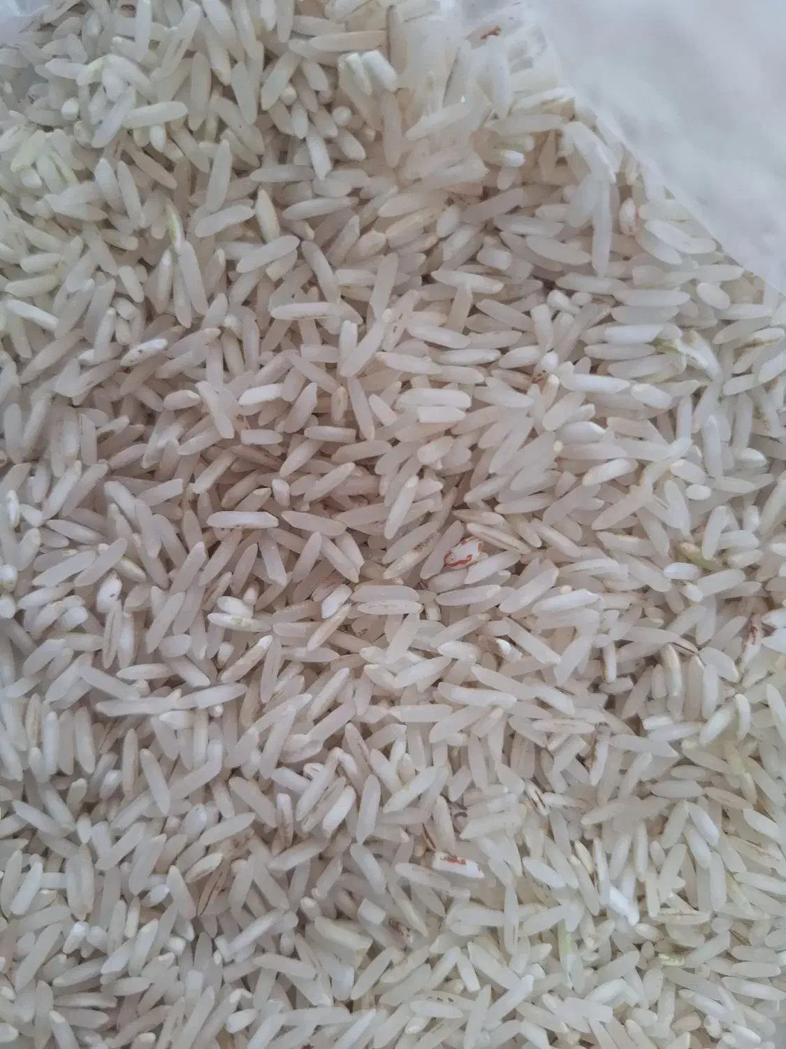 فروش برنج|خوردنی و آشامیدنی|دهدشت, |دیوار