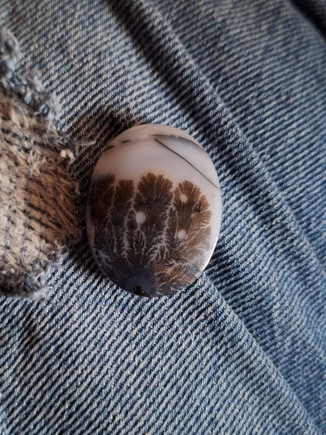 شجر تک درخت|جواهرات|زنجان, |دیوار