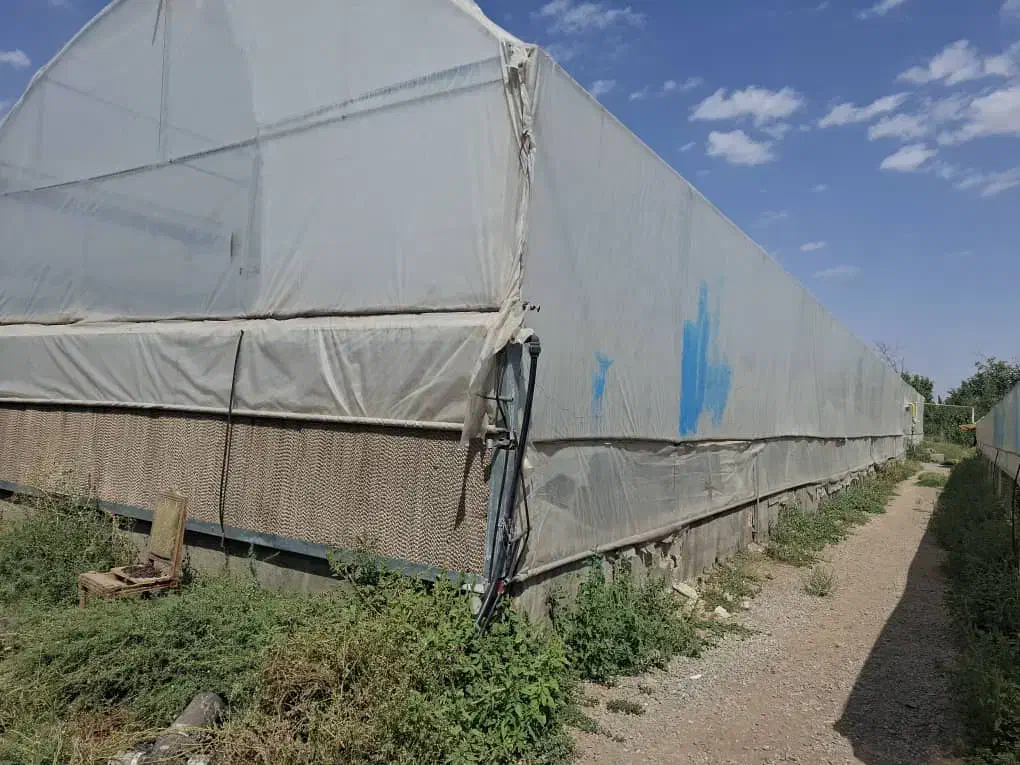 سازه گلخانه|مصالح و تجهیزات ساختمان|مرند, |دیوار